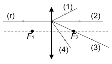 Figura din subiect