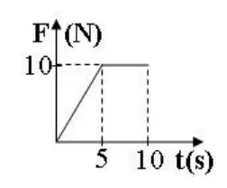 Figura din subiect