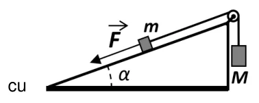 Figura din subiect