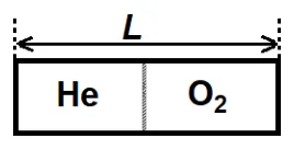 Figura din subiect