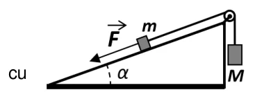 Figura din subiect