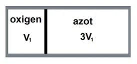 Figura din subiect