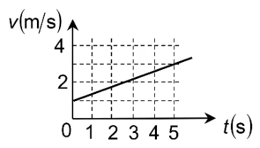 Figura din subiect