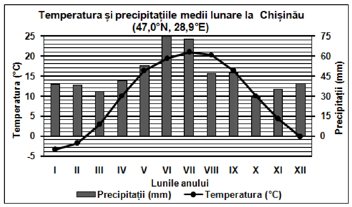 Figura din subiect