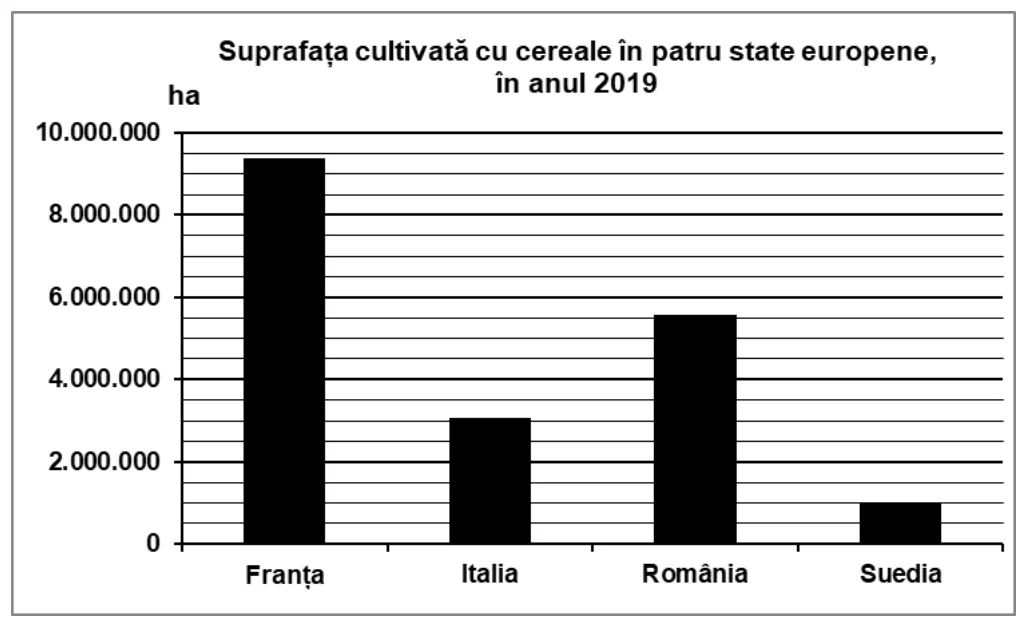 Figura din subiect