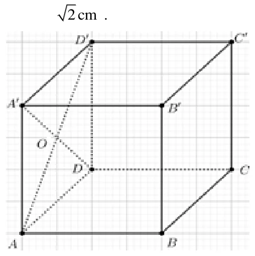 Figura din subiect