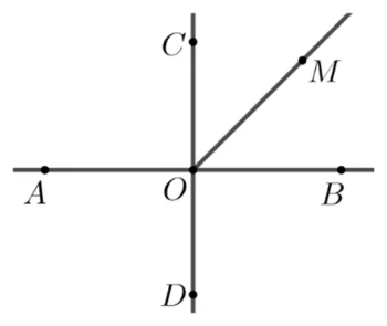 Figura din subiect